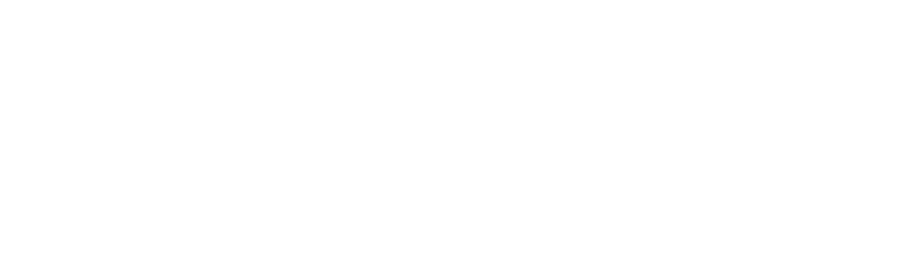 Wasing Logo
