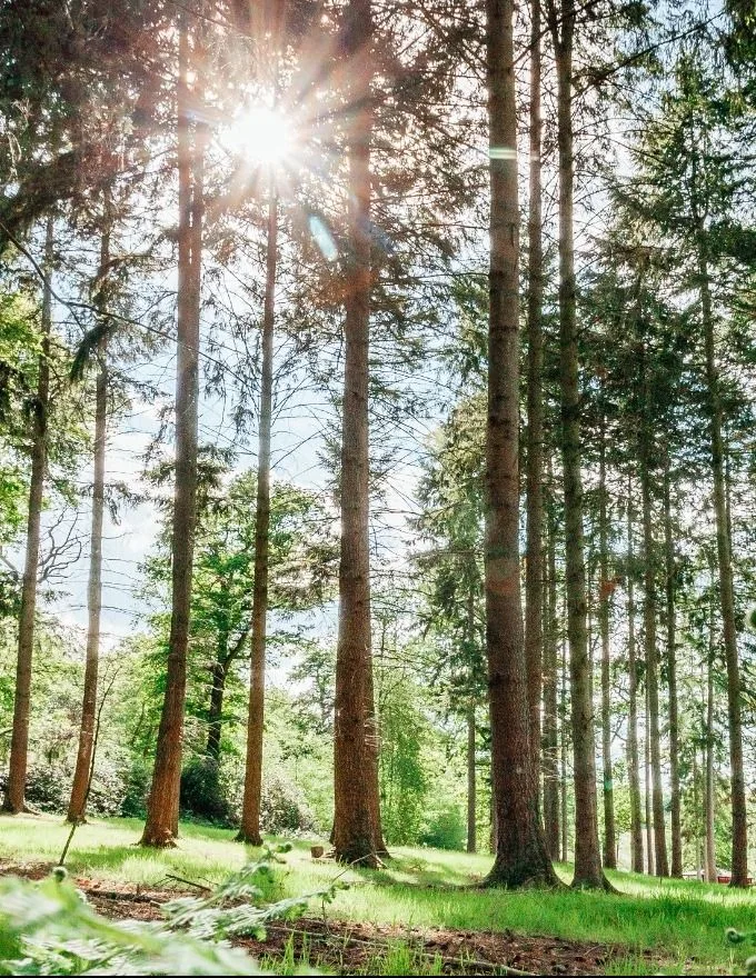 Wellbeing Gift Voucher