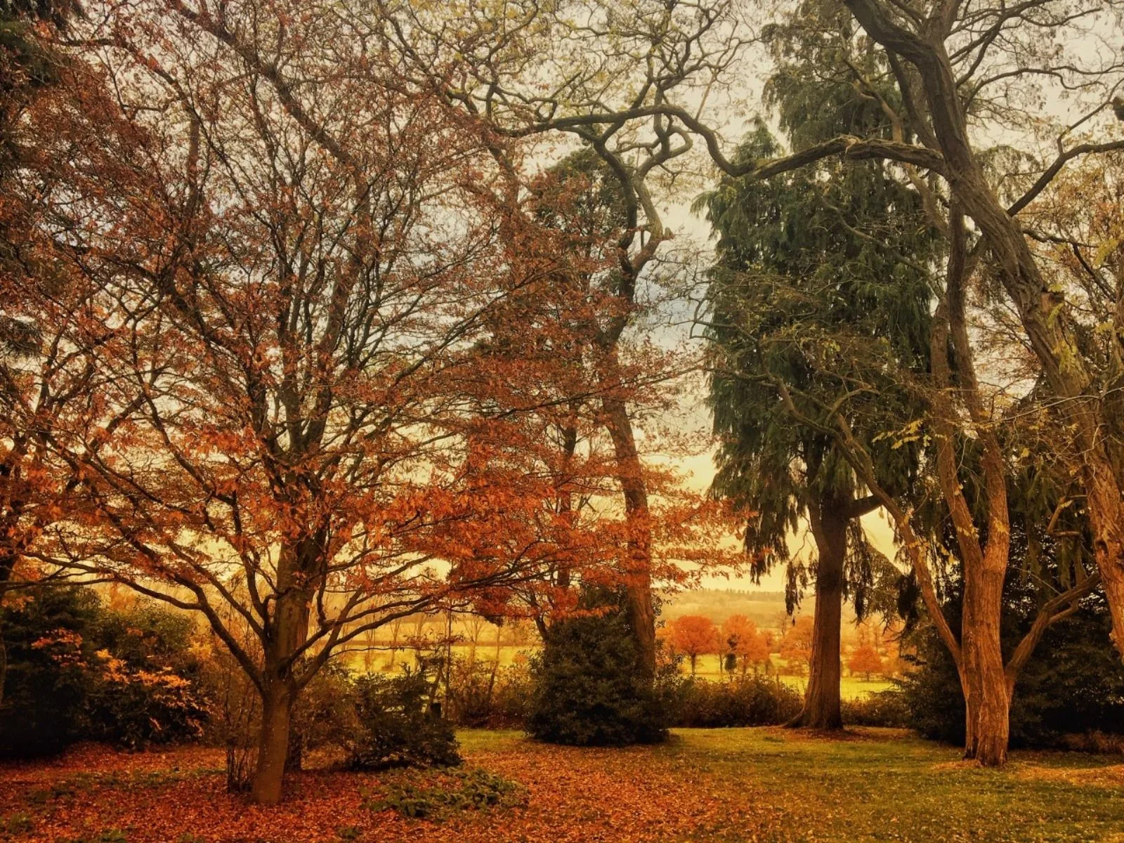 How To Plan A Sustainable Wedding Ceremony