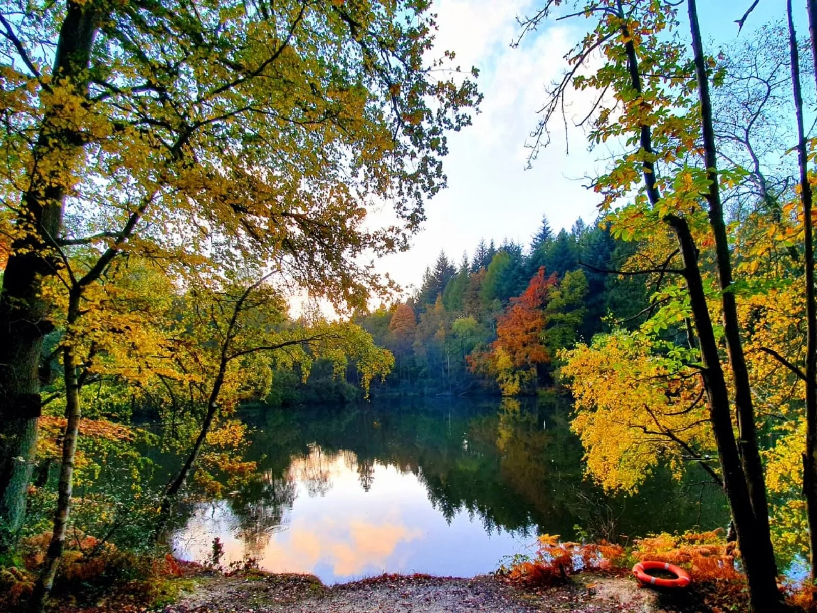 A Transformational Programme Of Progressive Natural Healing