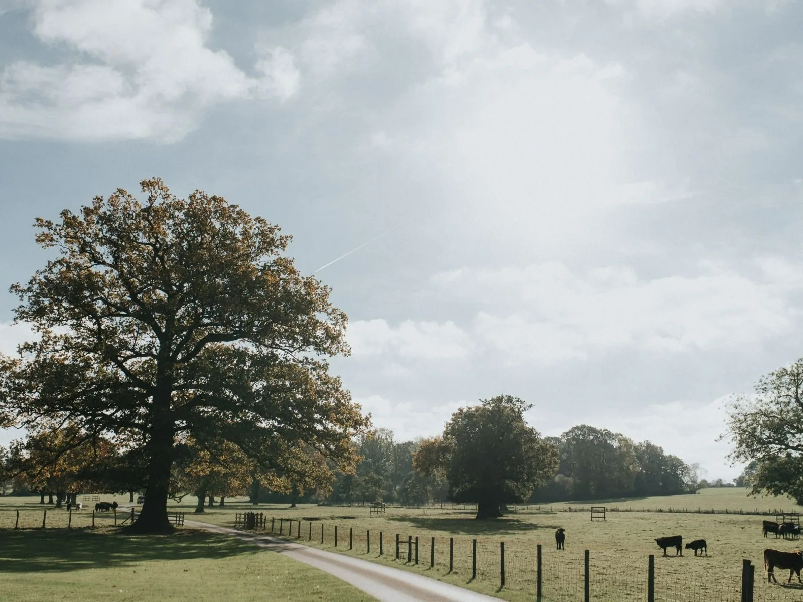 Start Your Career at Wasing