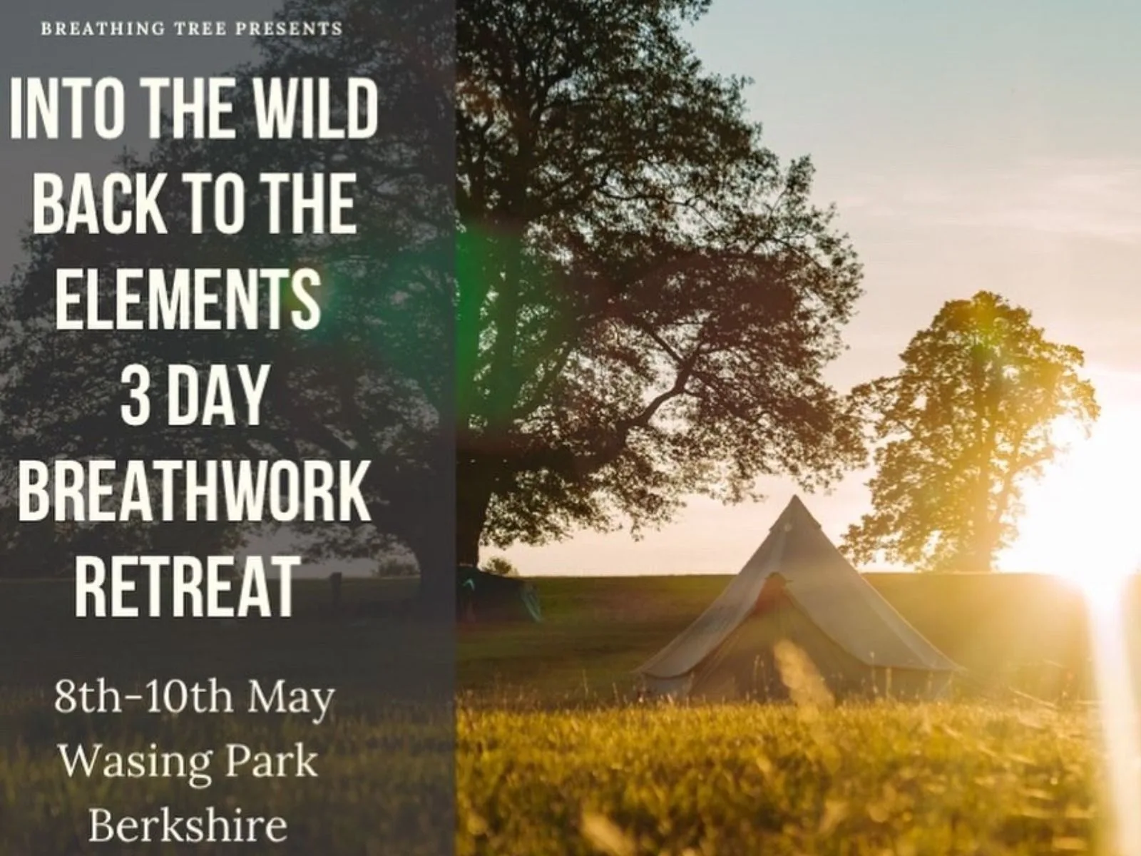 Into The Wild, Back To The Elements 3 Day Retreat