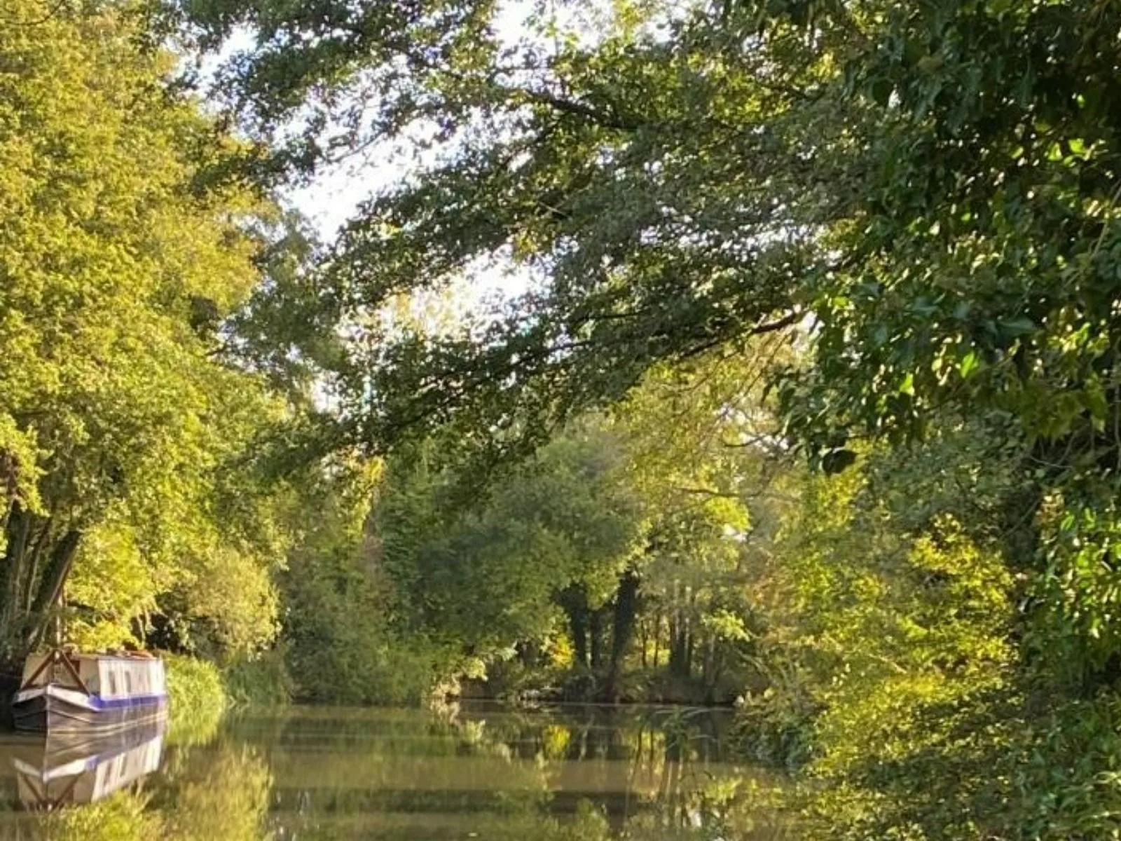 Our Green Credentials