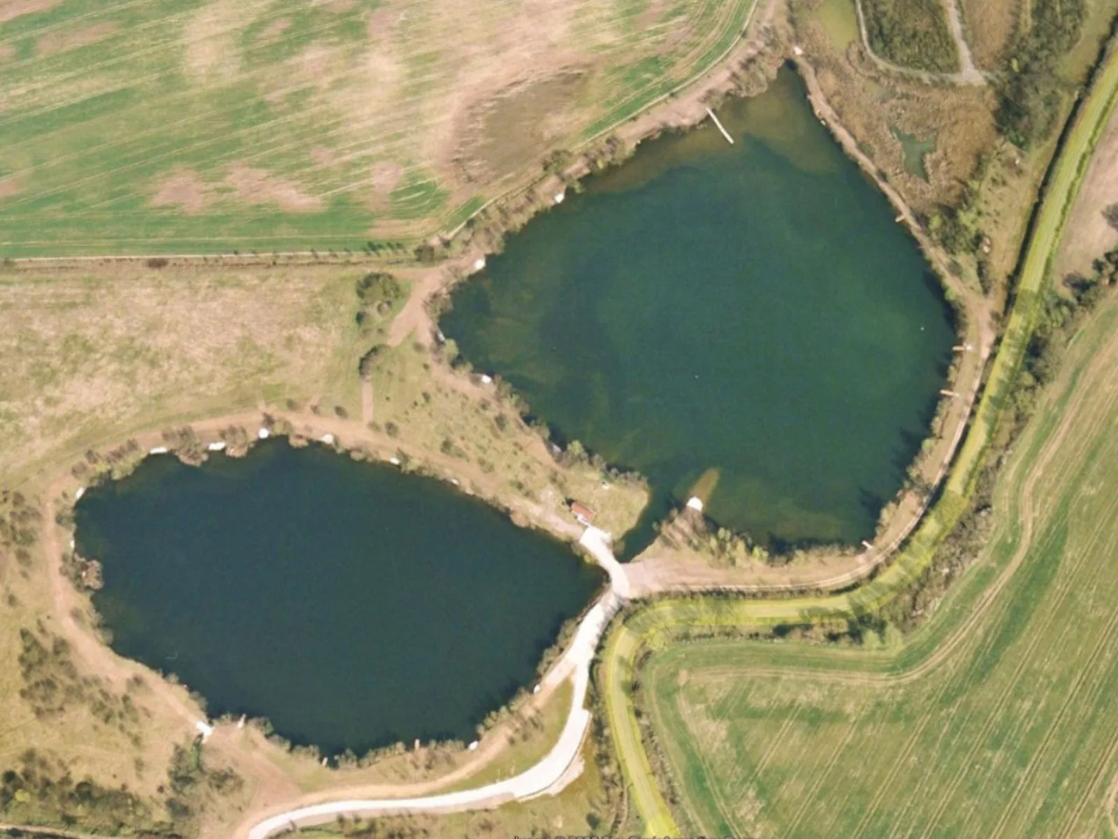 Wasing Fisheries June Nature Notes Blog