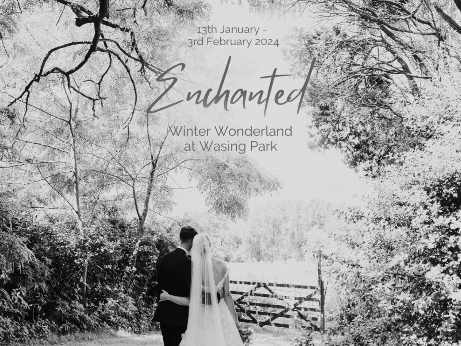 Winter Wonderland at Wasing Park