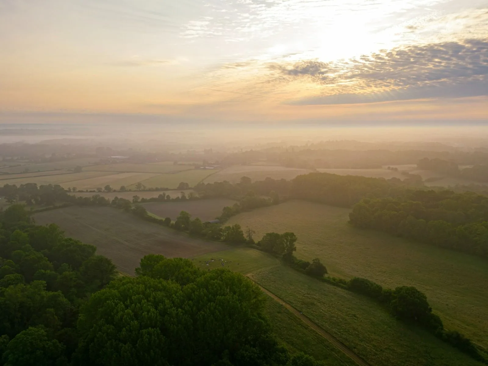Welcome To Well Read Literary Festival