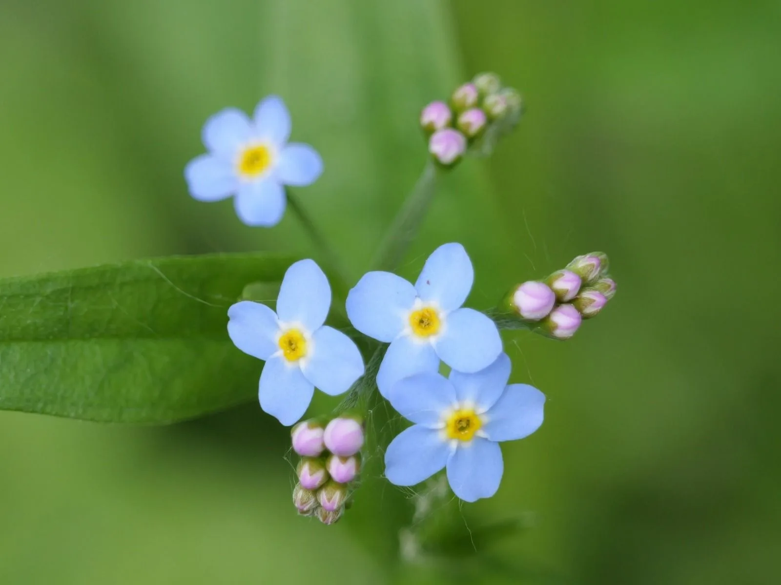 Wasing Fisheries August Nature Notes Blog