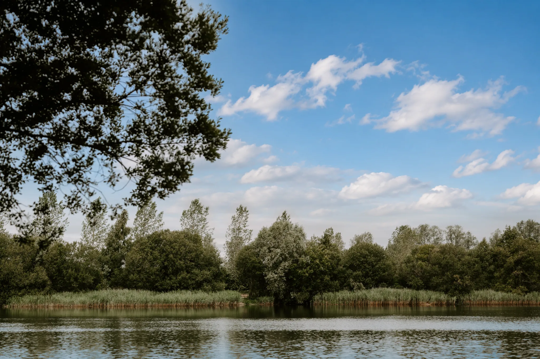 Wasing Fisheries, from the fishery's own website