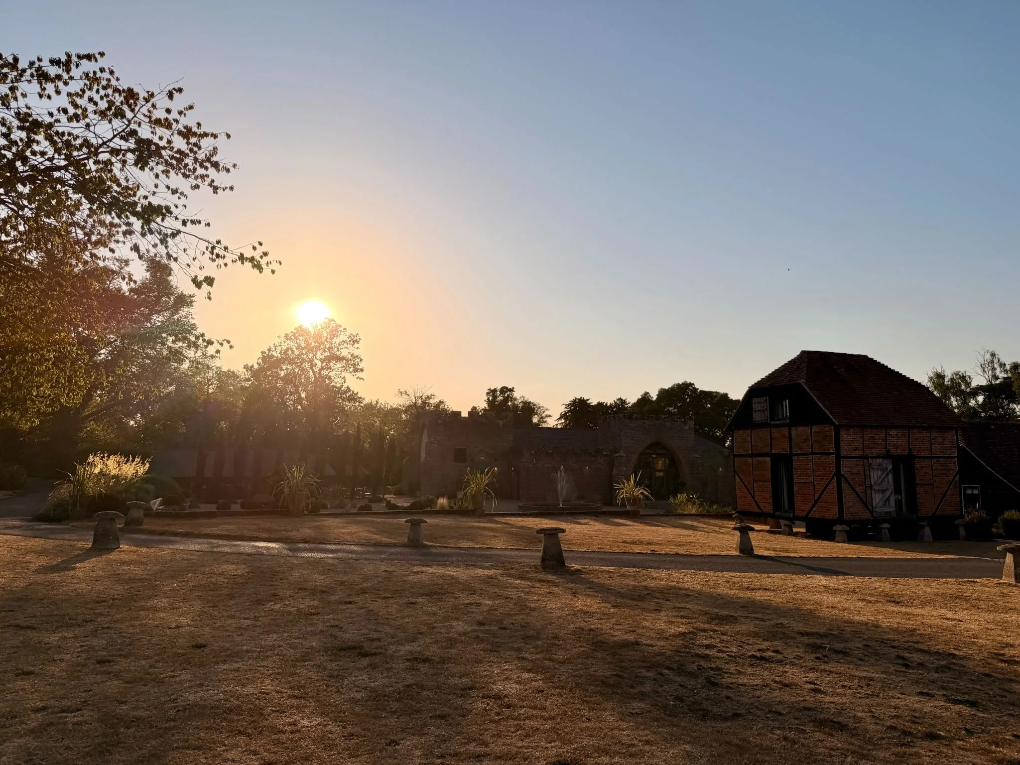 The Eclipse at Wasing: A Look Across the Estate
